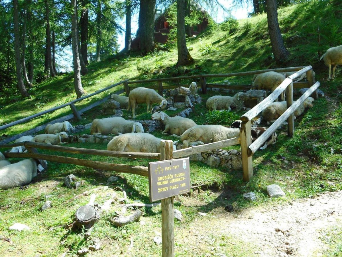 Hotel Erjavceva Mountain Hut At Vrsic Pass Kranjska Gora Exterior foto