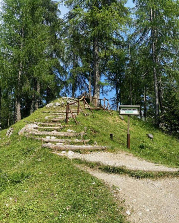 Hotel Erjavceva Mountain Hut At Vrsic Pass Kranjska Gora Exterior foto